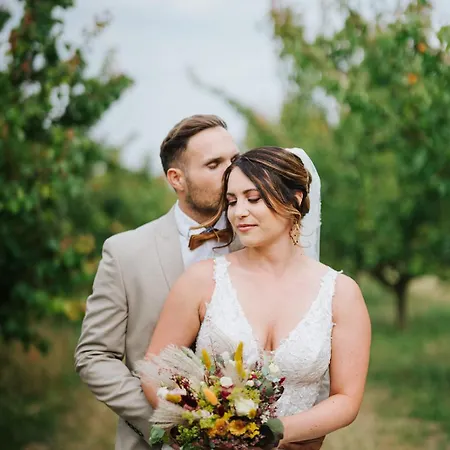 Weinblick & Weingut Grafinger Hotel Senftenberg