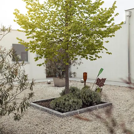 Weinblick & Weingut Grafinger *