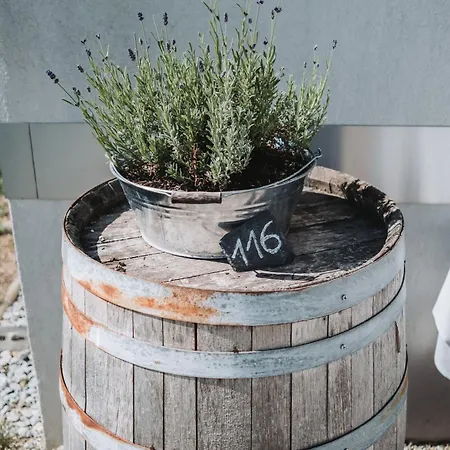 Weinblick & Weingut Grafinger Senftenberg