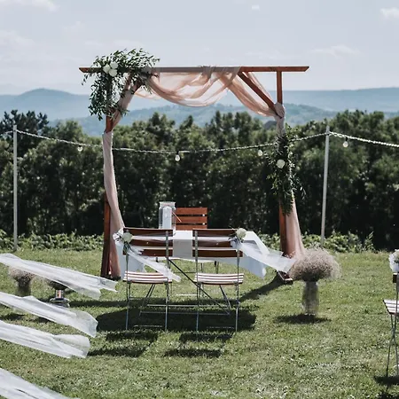 Weinblick & Weingut Grafinger Hotel *