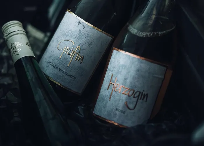 Weinblick & Weingut Grafinger Hotel *