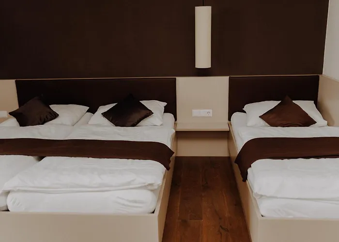 Weinblick & Weingut Grafinger Hotel Senftenberg