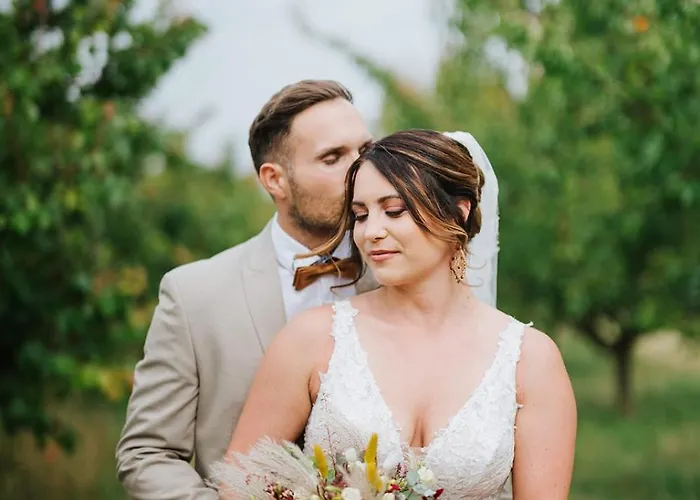 Weinblick & Weingut Grafinger Hotel Senftenberg