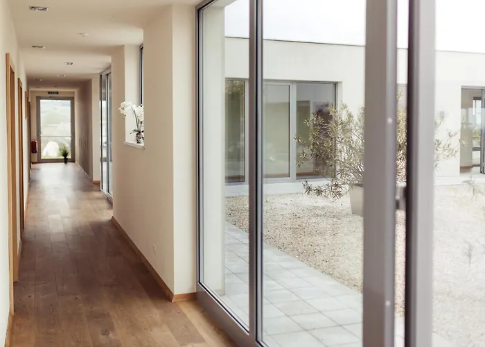 Weinblick & Weingut Grafinger *