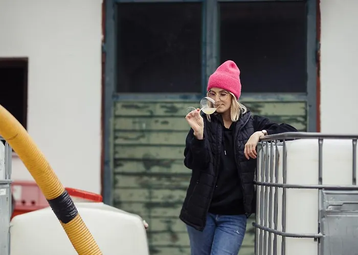 Weinblick & Weingut Grafinger Hotel *