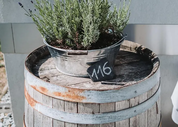 Weinblick & Weingut Grafinger Senftenberg