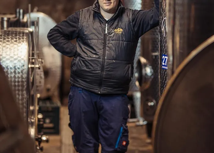 Hotel Weinblick & Weingut Grafinger *