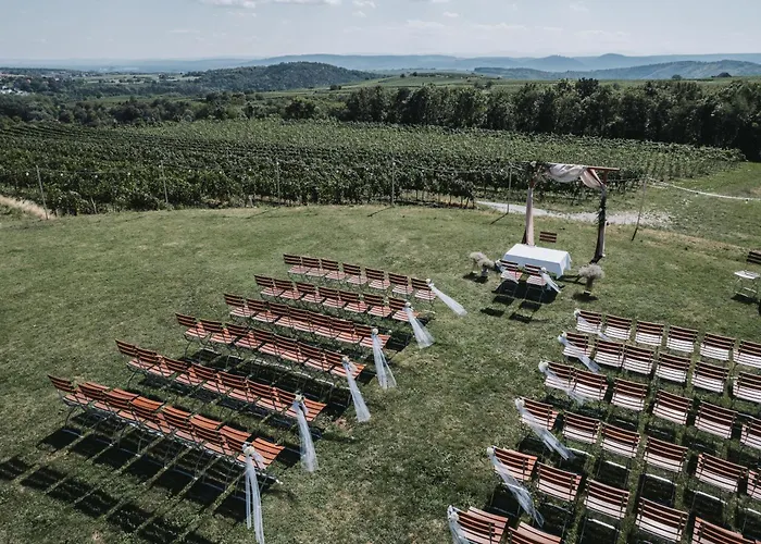 Hotel Weinblick & Weingut Grafinger Senftenberg