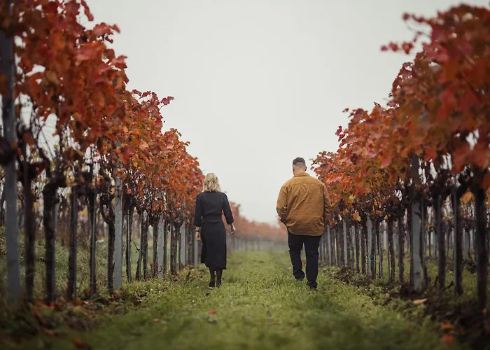 Weinblick & Weingut Grafinger Senftenberg