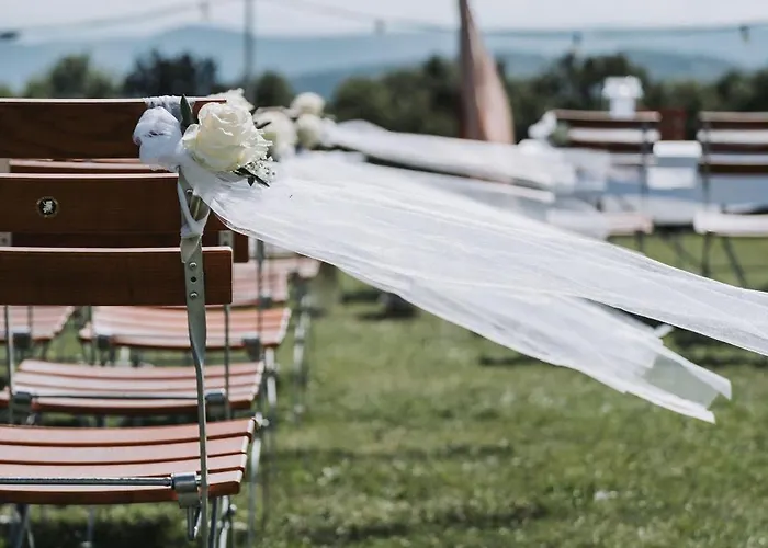 Weinblick & Weingut Grafinger